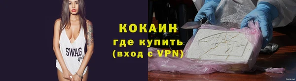 индика Осташков