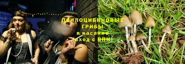 молекула духа Абинск