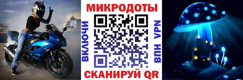 площадка клад  Тында  Галлюциногенные грибы Cubensis 