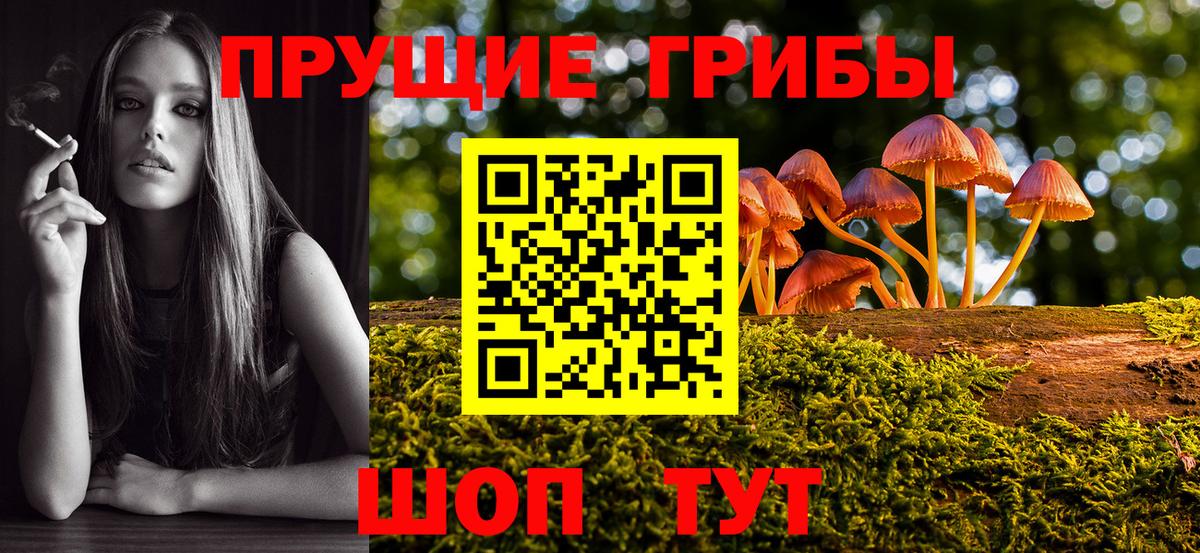 Галлюциногенные грибы мицелий  Вход с VPN  Тында  Псилоцибиновые грибы мицелий 